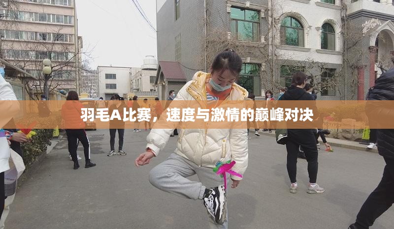 羽毛A比赛，速度与激情的巅峰对决