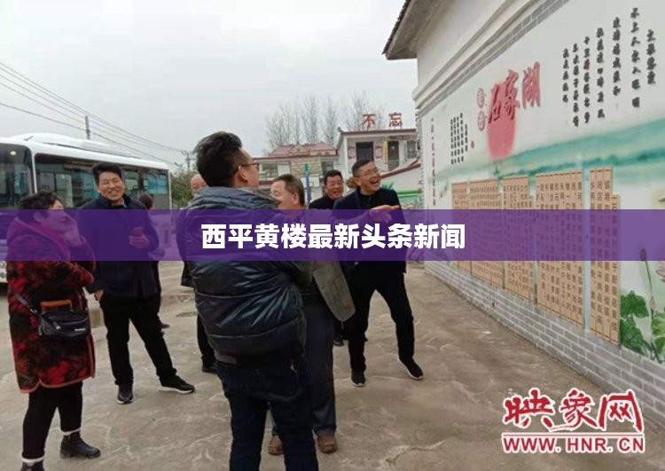 西平黄楼最新头条新闻