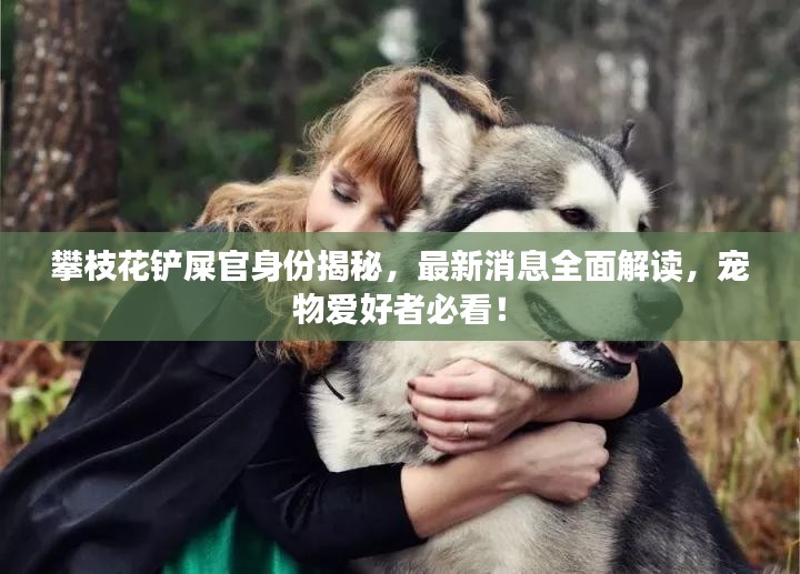 攀枝花铲屎官身份揭秘，最新消息全面解读，宠物爱好者必看！
