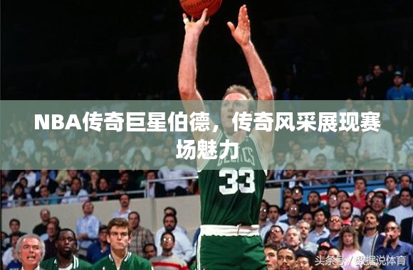 NBA传奇巨星伯德，传奇风采展现赛场魅力
