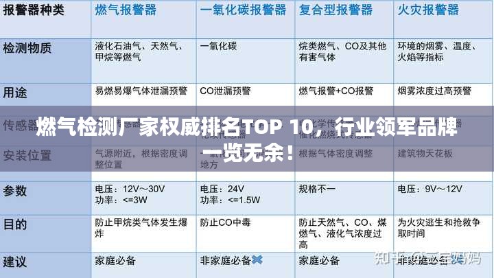 燃气检测厂家权威排名TOP 10，行业领军品牌一览无余！