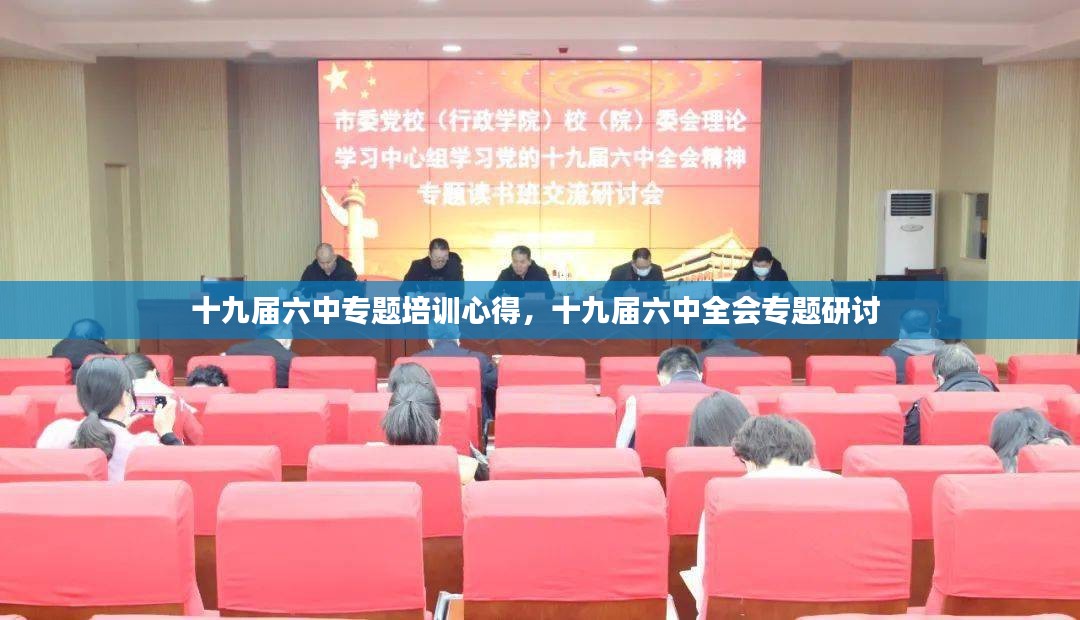 十九届六中专题培训心得，十九届六中全会专题研讨 