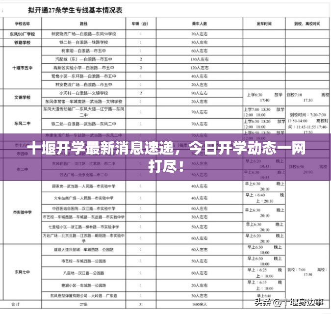 十堰开学最新消息速递，今日开学动态一网打尽！