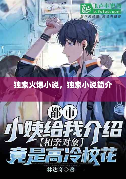 独家火爆小说，独家小说简介 