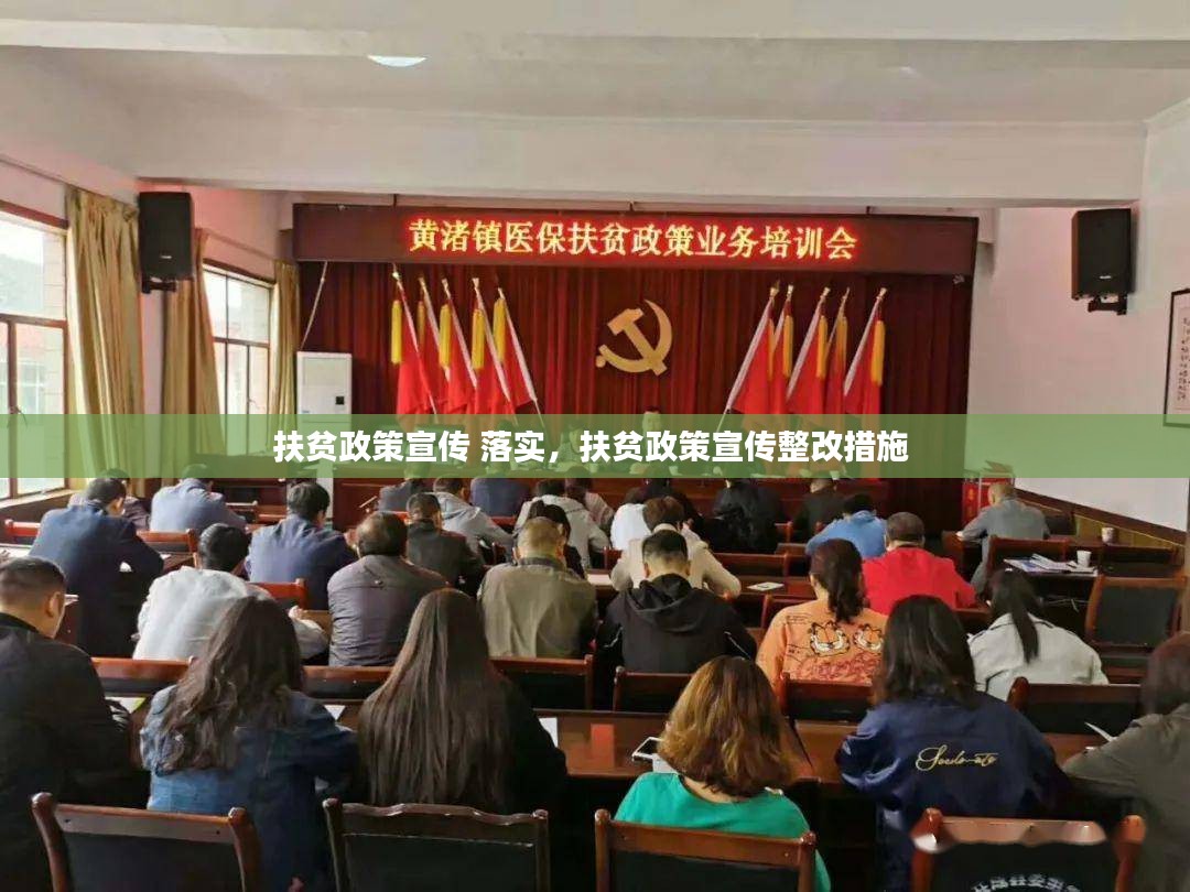 扶贫政策宣传 落实，扶贫政策宣传整改措施 