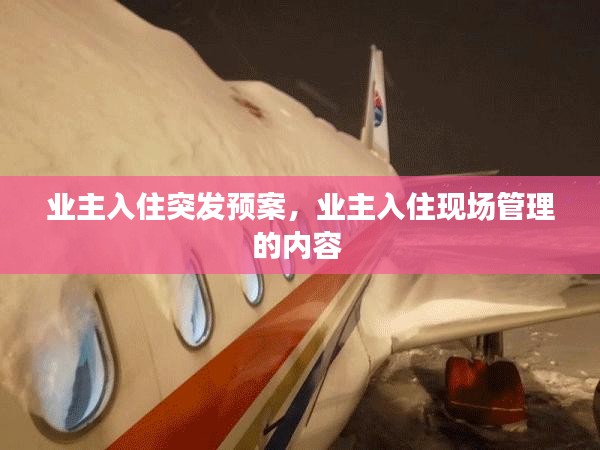 业主入住突发预案，业主入住现场管理的内容 