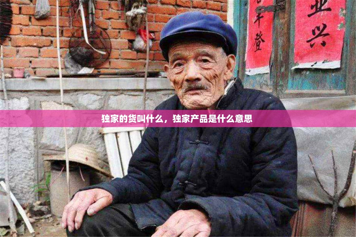 10新动二八_1