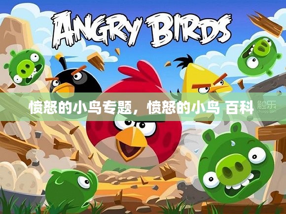 愤怒的小鸟专题，愤怒的小鸟 百科 