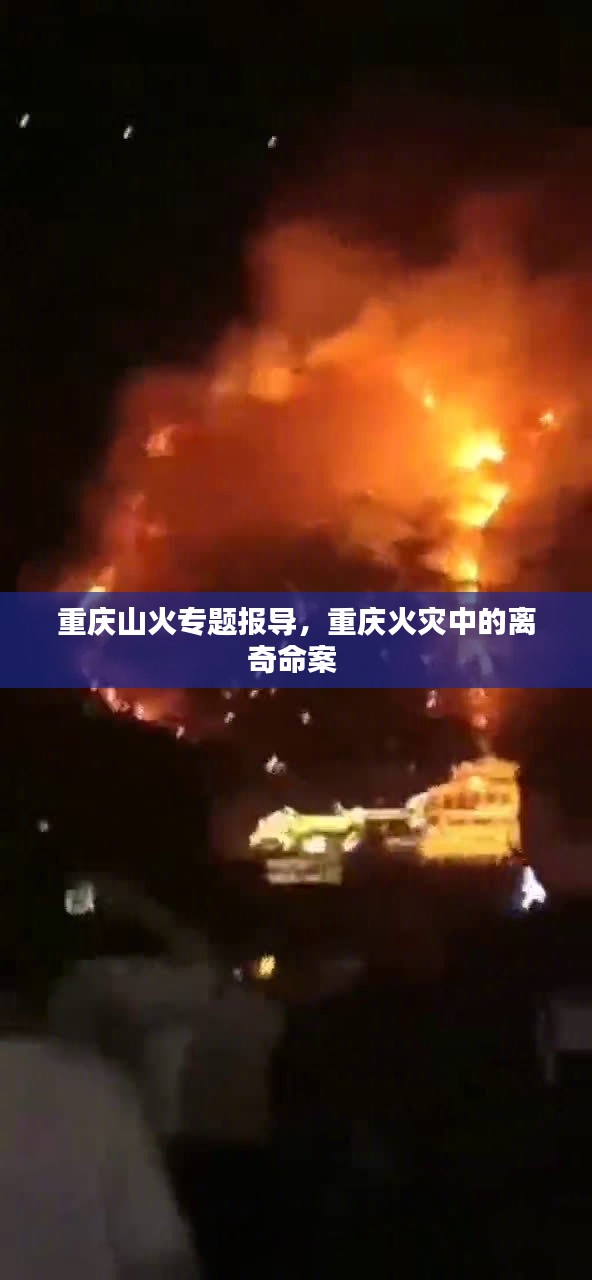 重庆山火专题报导，重庆火灾中的离奇命案 