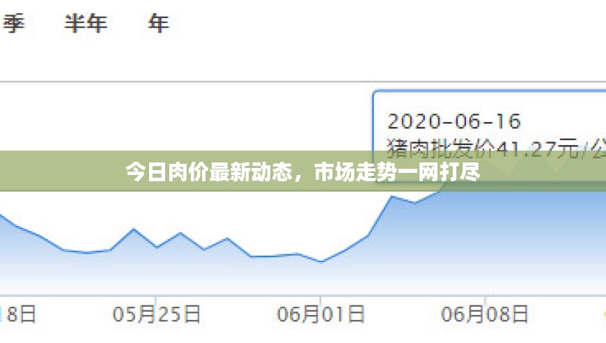 今日肉价最新动态，市场走势一网打尽