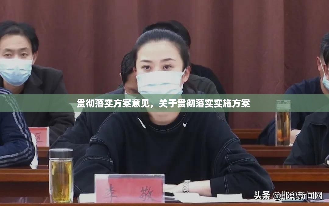 贯彻落实方案意见，关于贯彻落实实施方案 