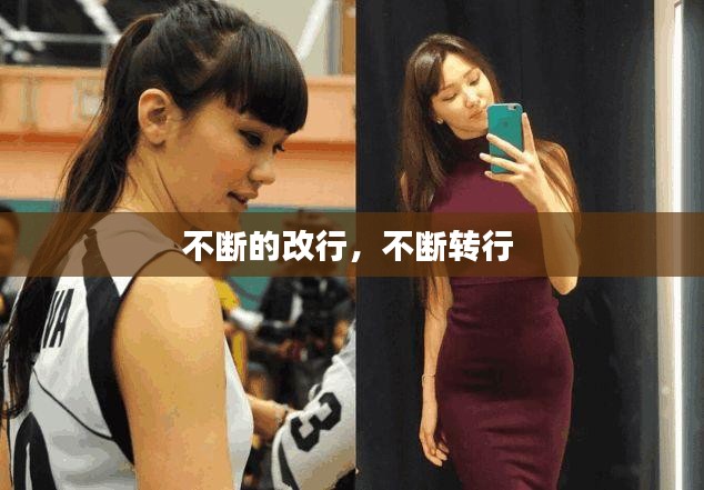 纲举目张