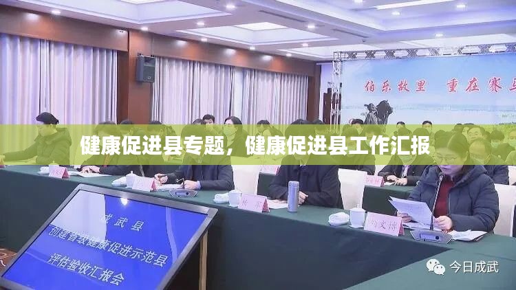健康促进县专题，健康促进县工作汇报 