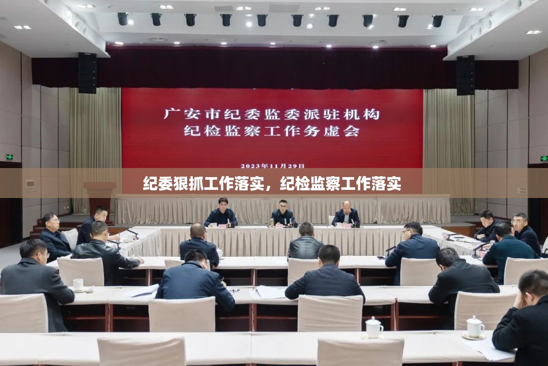 纪委狠抓工作落实，纪检监察工作落实 
