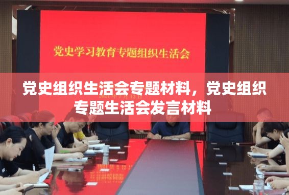党史组织生活会专题材料，党史组织专题生活会发言材料 