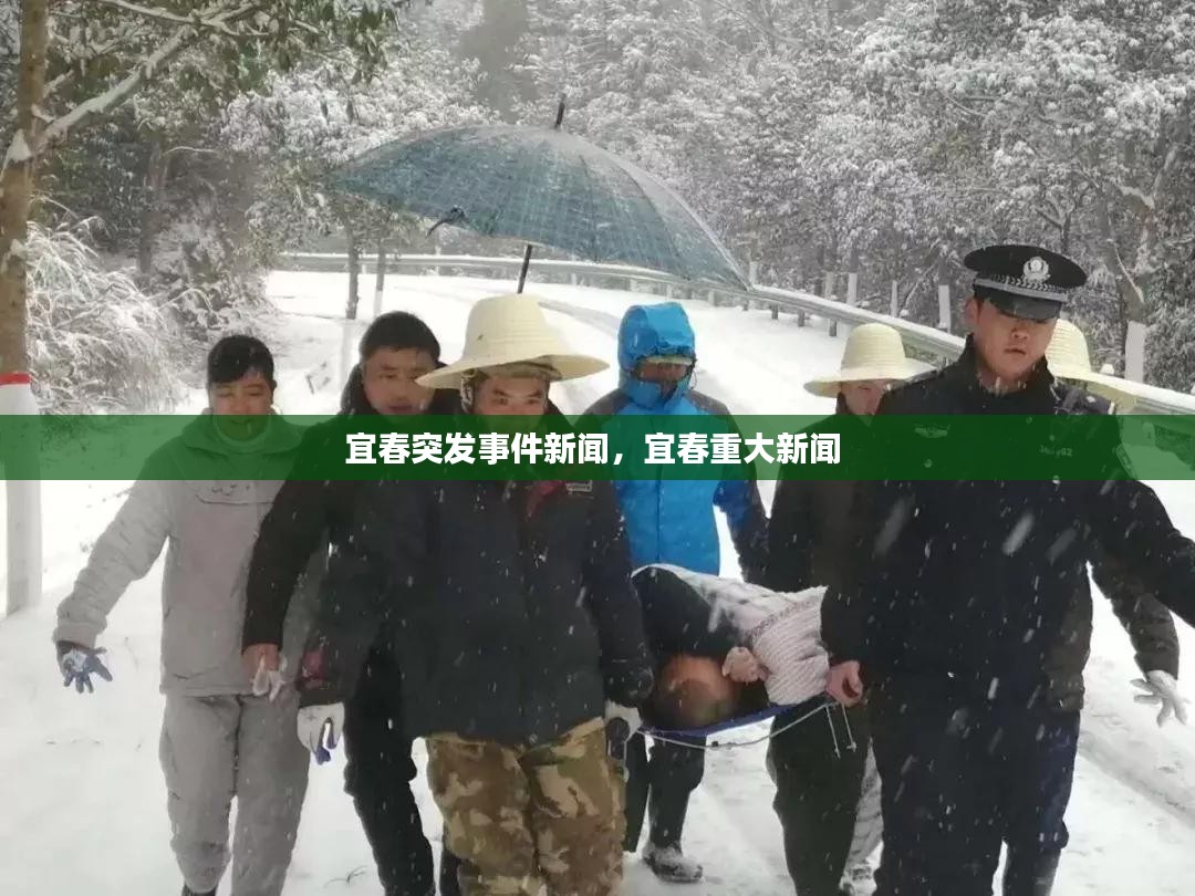 宜春突发事件新闻，宜春重大新闻 