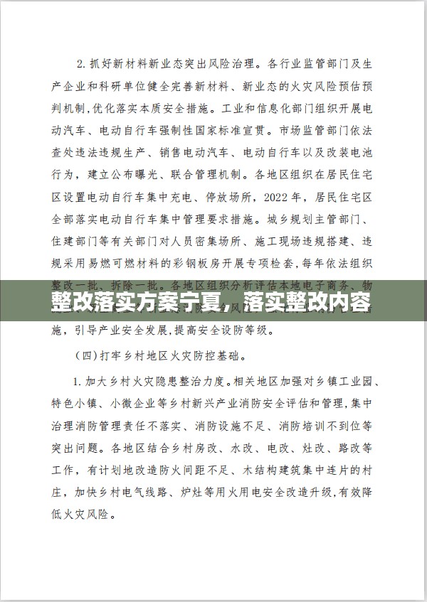 整改落实方案宁夏，落实整改内容 