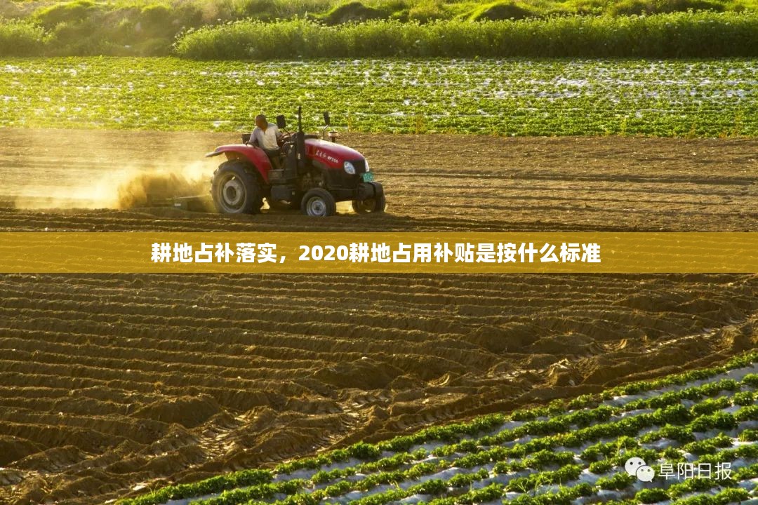 耕地占补落实，2020耕地占用补贴是按什么标准 