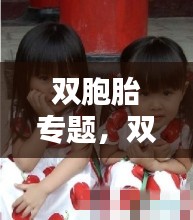 双胞胎专题，双胞胎t 