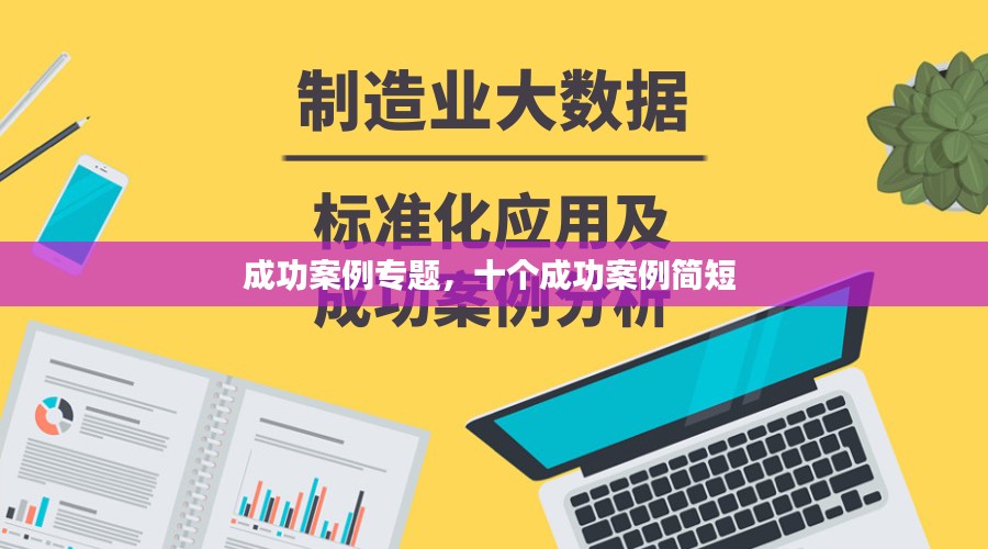 成功案例专题，十个成功案例简短 