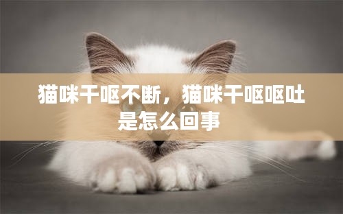 神气十足