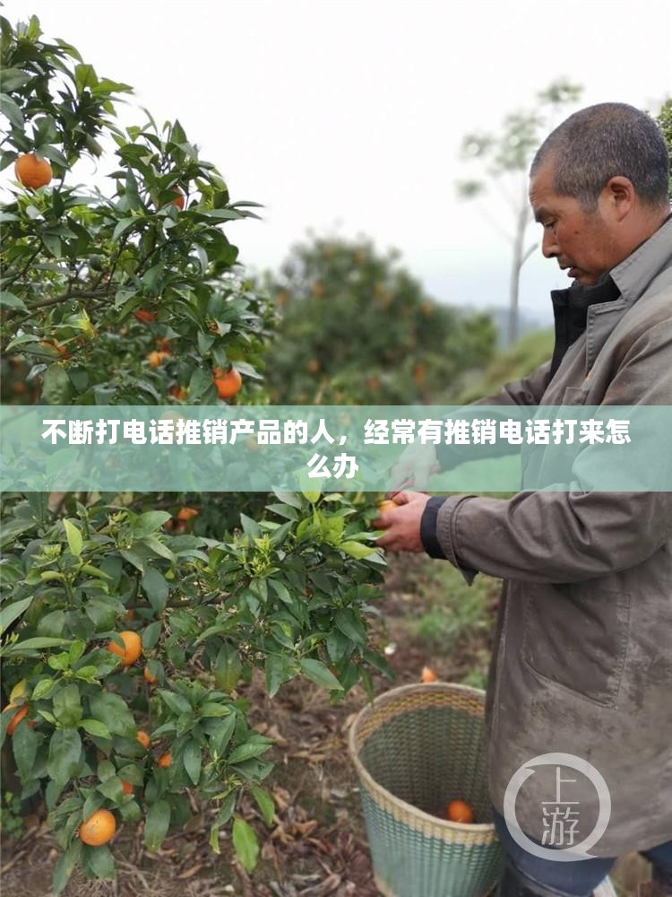 工程案例 第10页