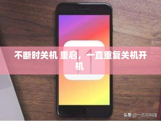 百鸟争鸣