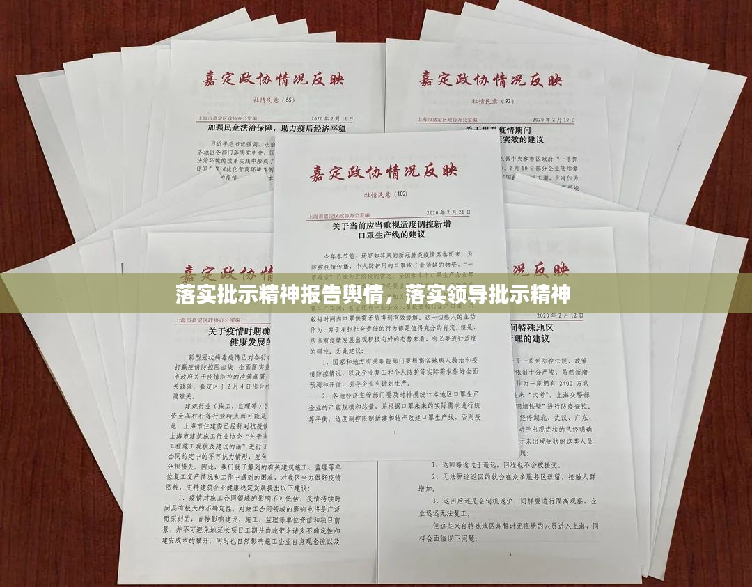 落实批示精神报告舆情，落实领导批示精神 