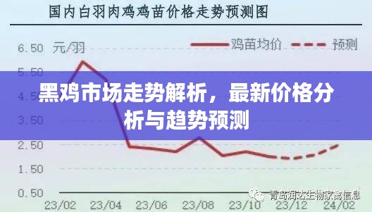工程案例 第9页