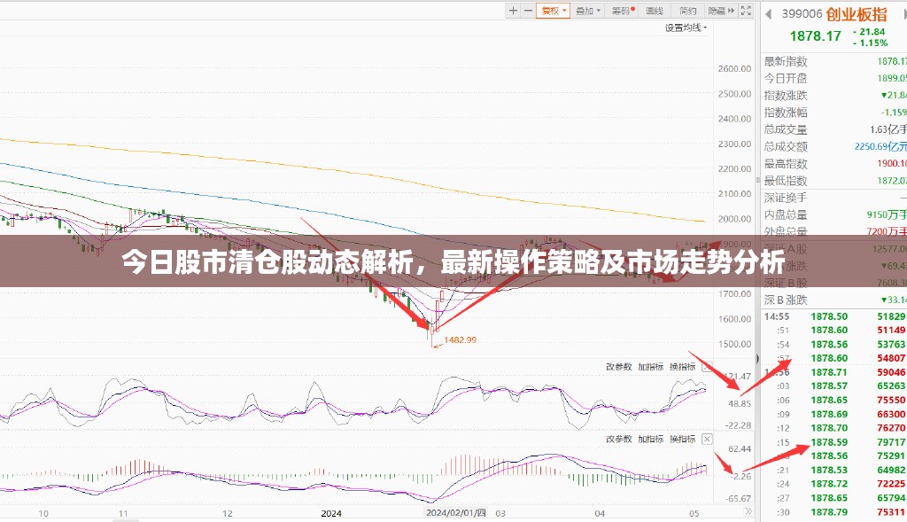 今日股市清仓股动态解析，最新操作策略及市场走势分析