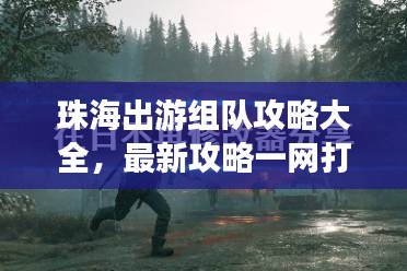 珠海出游组队攻略大全，最新攻略一网打尽！