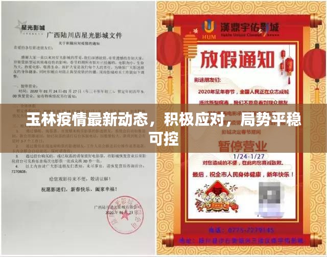 玉林疫情最新动态，积极应对，局势平稳可控