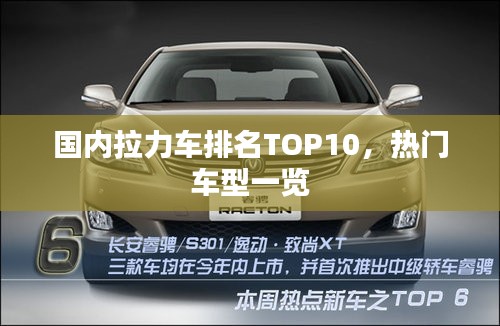 国内拉力车排名TOP10，热门车型一览