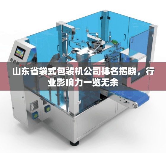 山东省袋式包装机公司排名揭晓，行业影响力一览无余