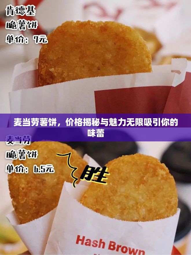 龙飞九五