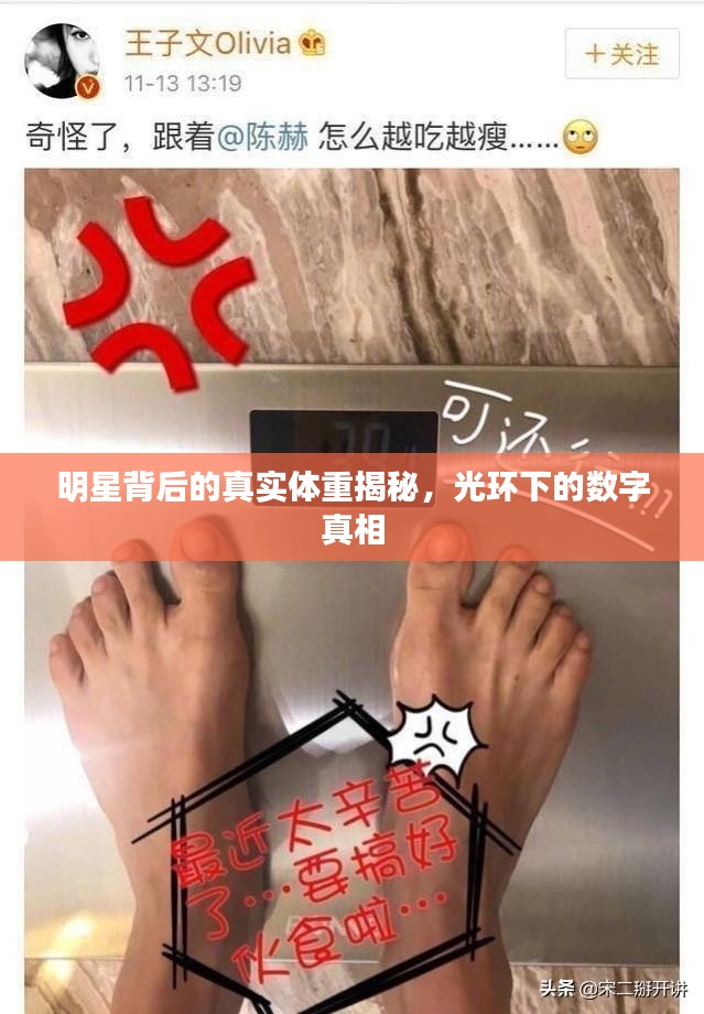 神采飞扬