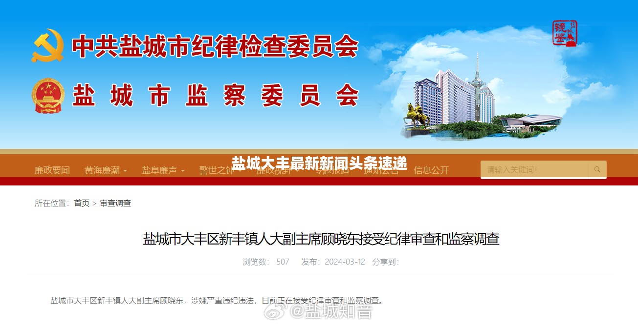 盐城大丰最新新闻头条速递