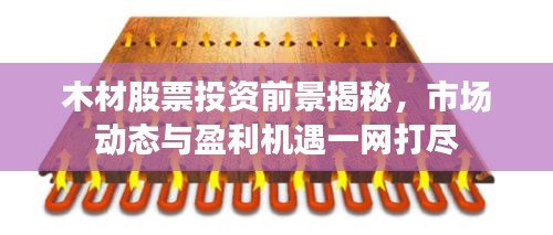 木材股票投资前景揭秘，市场动态与盈利机遇一网打尽