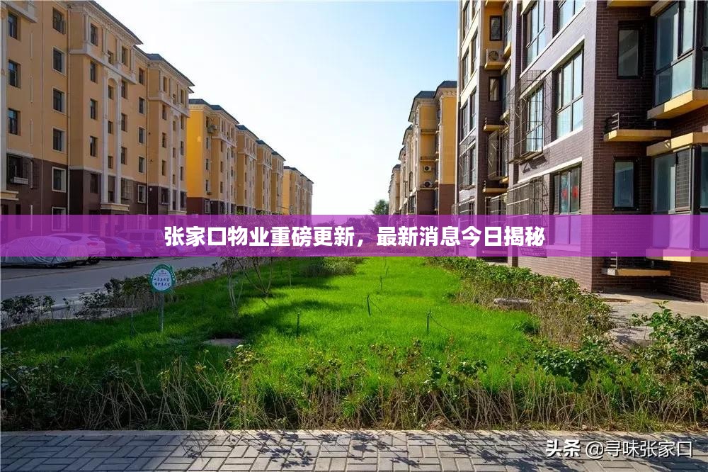 张家口物业重磅更新，最新消息今日揭秘