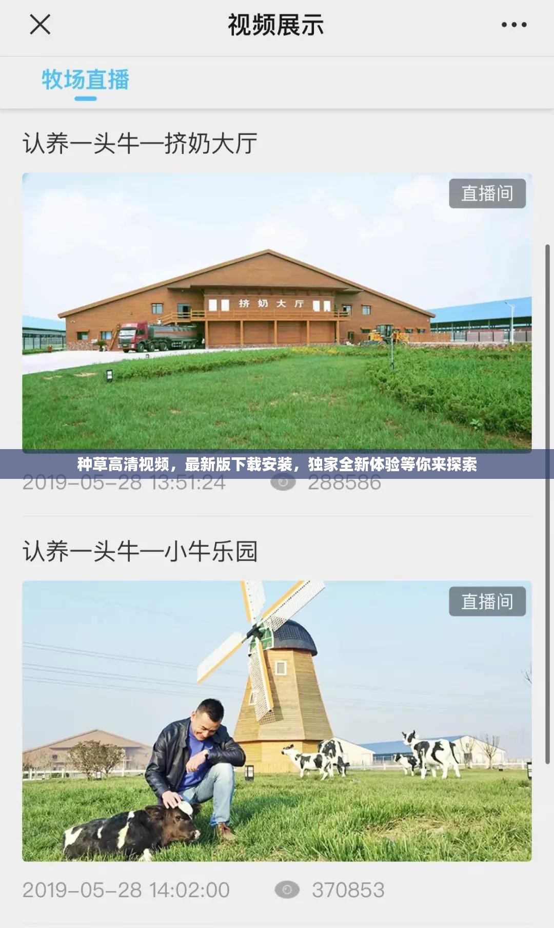 种草高清视频，最新版下载安装，独家全新体验等你来探索