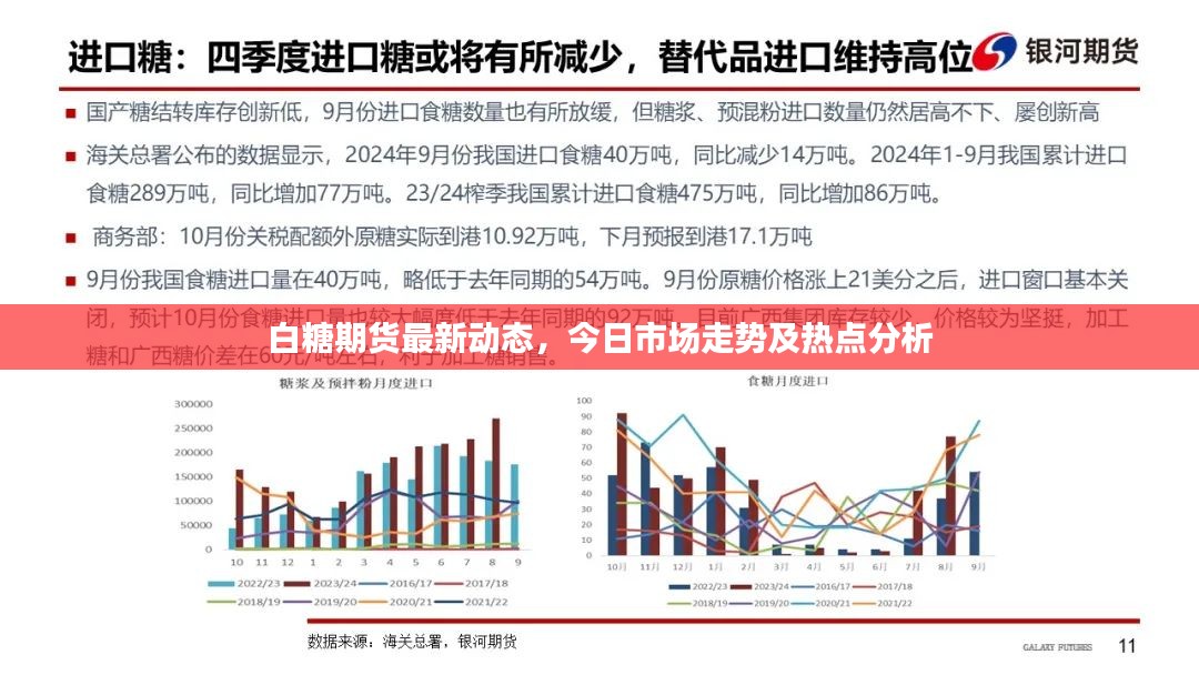 白糖期货最新动态，今日市场走势及热点分析