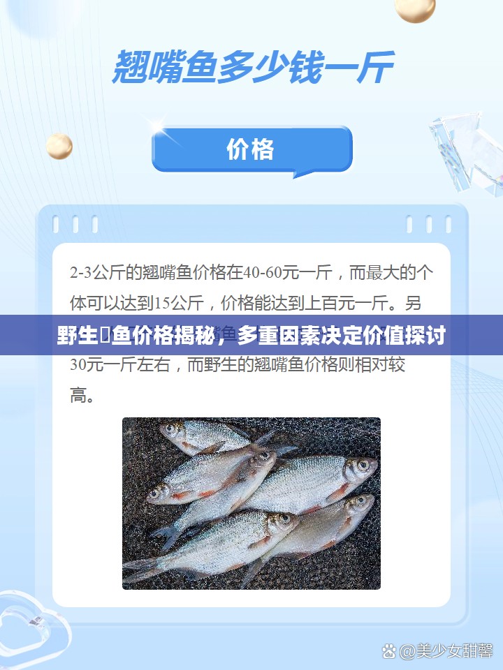 野生鳡鱼价格揭秘，多重因素决定价值探讨