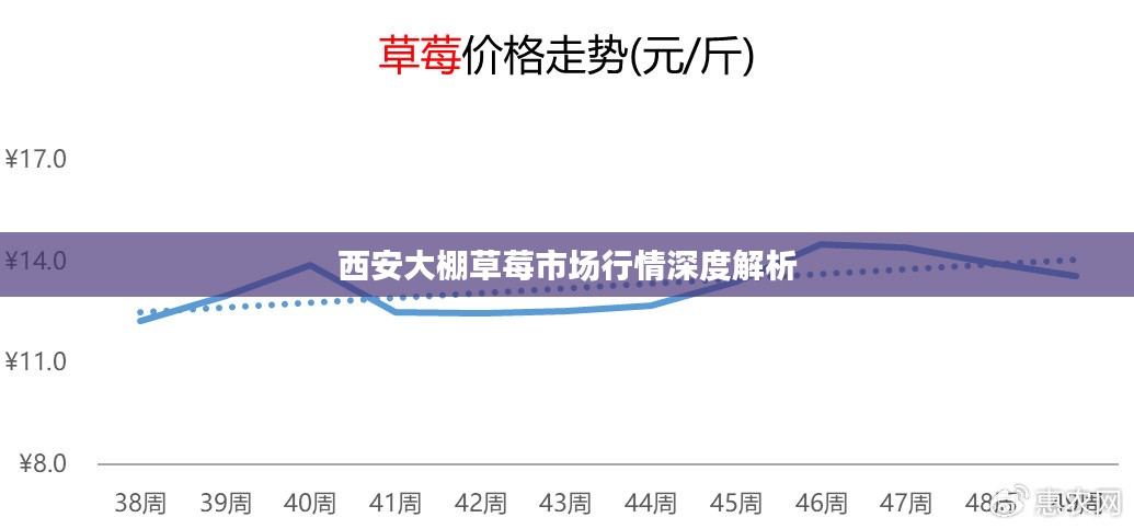 西安大棚草莓市场行情深度解析