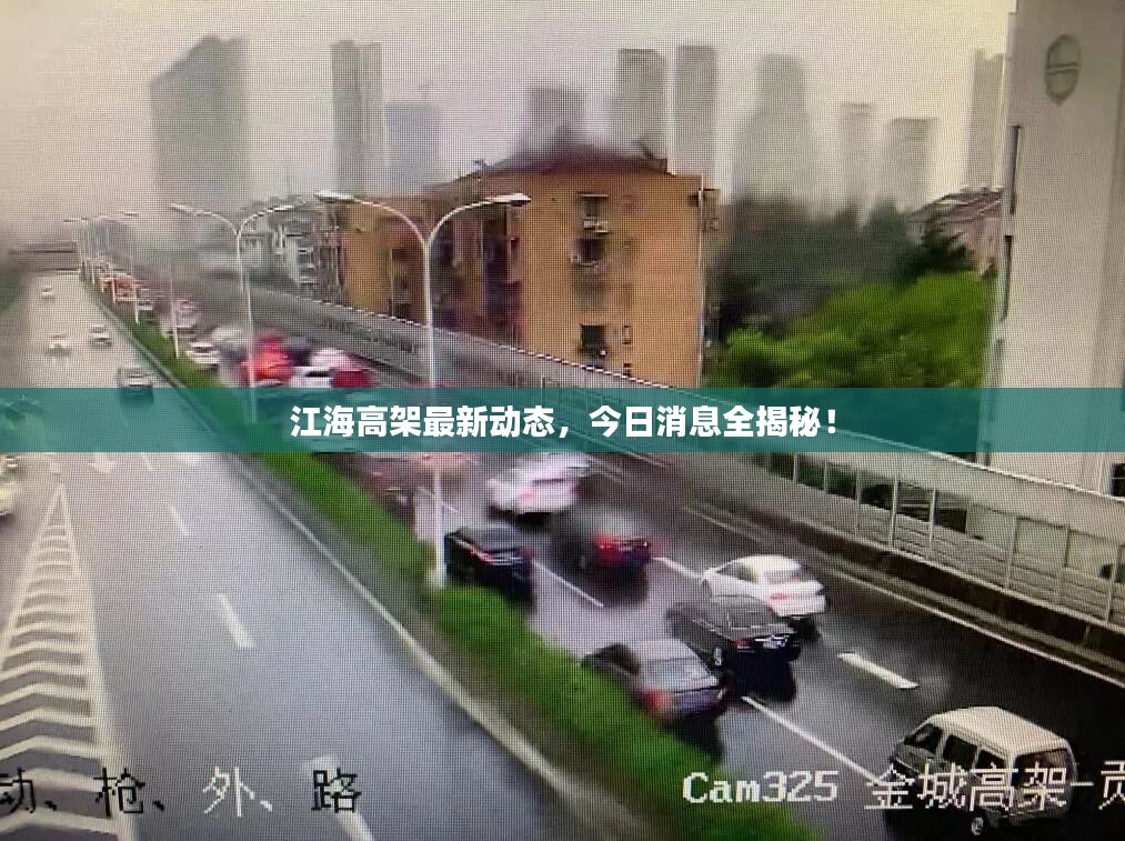 江海高架最新动态，今日消息全揭秘！