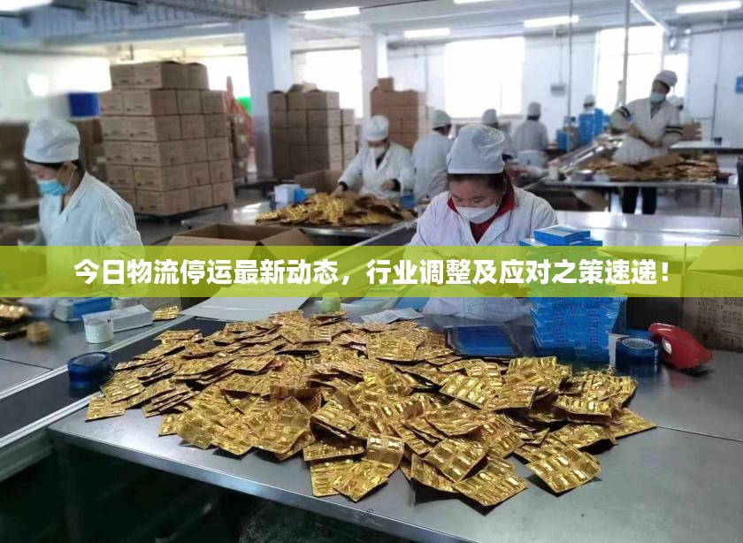 今日物流停运最新动态，行业调整及应对之策速递！