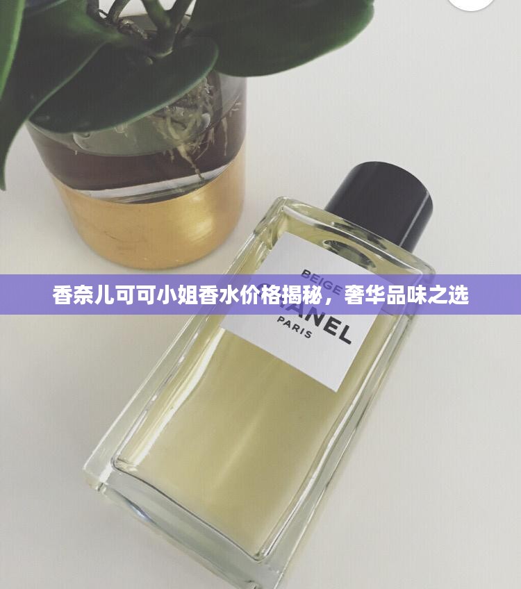 香奈儿可可小姐香水价格揭秘，奢华品味之选