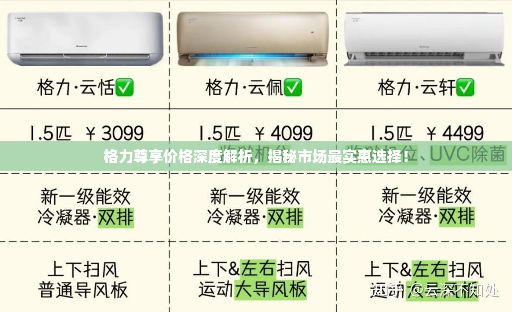 格力尊享价格深度解析，揭秘市场最实惠选择！