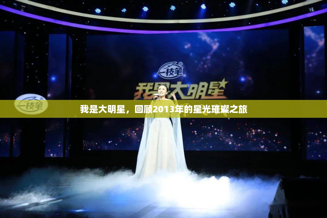 我是大明星，回顾2013年的星光璀璨之旅