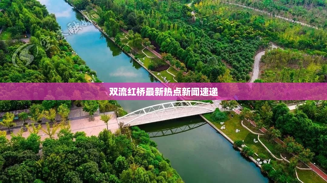 双流红桥最新热点新闻速递